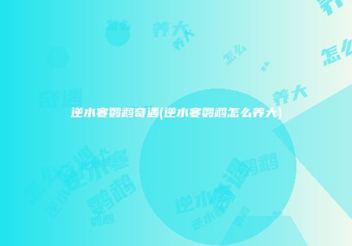 逆水寒鹦鹉奇遇(逆水寒鹦鹉怎么养大)