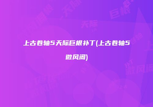 上古卷轴5天际巨根补丁(上古卷轴5微风阁)