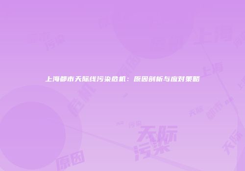 上海都市天际线污染危机：原因剖析与应对策略