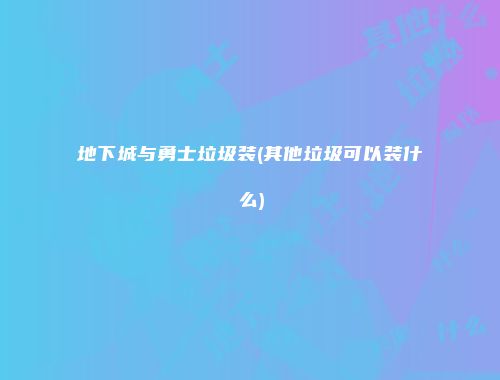 地下城与勇士垃圾装(其他垃圾可以装什么)