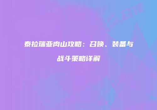 泰拉瑞亚肉山攻略：召唤、装备与战斗策略详解