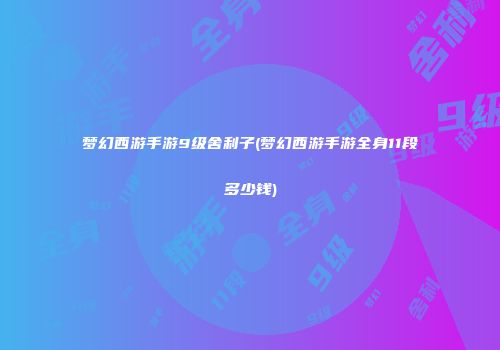 梦幻西游手游9级舍利子(梦幻西游手游全身11段多少钱)