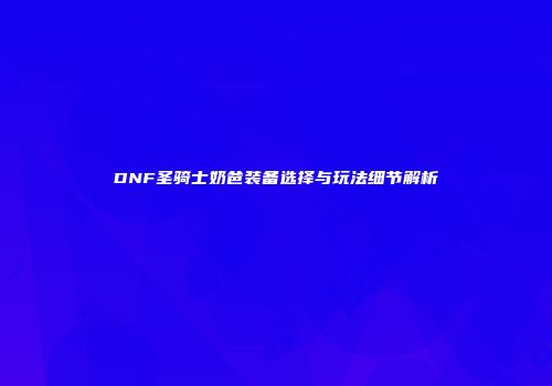 DNF圣骑士奶爸装备选择与玩法细节解析