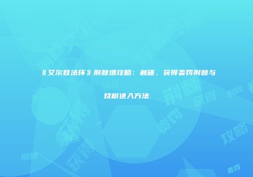 《艾尔登法环》荆棘墙攻略：触碰、获得责罚荆棘与烧树进入方法