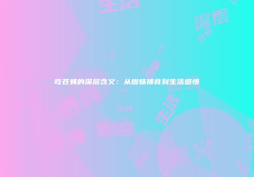 吃苍蝇的深层含义：从蜘蛛捕食到生活感悟