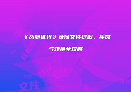 《战舰世界》录像文件提取、播放与转换全攻略