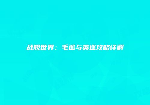 战舰世界：毛巡与英巡攻略详解