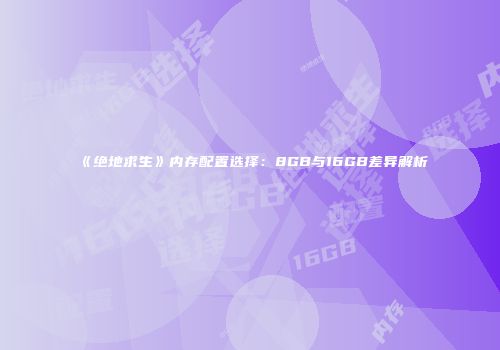 《绝地求生》内存配置选择：8GB与16GB差异解析