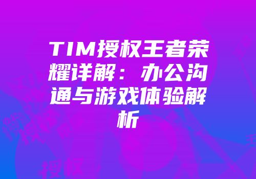 TIM授权王者荣耀详解：办公沟通与游戏体验解析