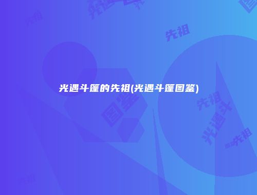 光遇斗篷的先祖(光遇斗篷图鉴)