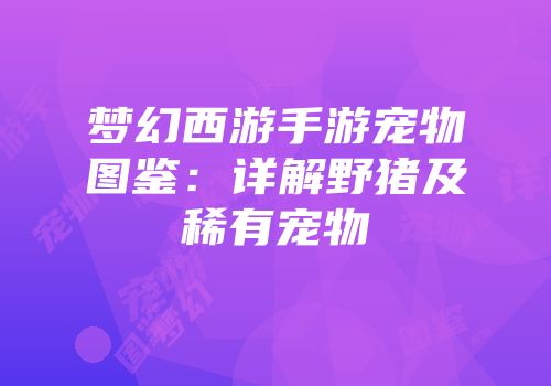 梦幻西游手游宠物图鉴：详解野猪及稀有宠物