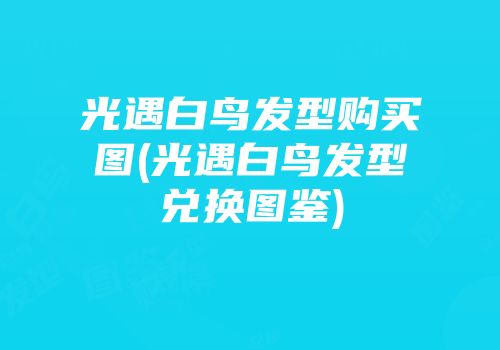光遇白鸟发型购买图(光遇白鸟发型兑换图鉴)