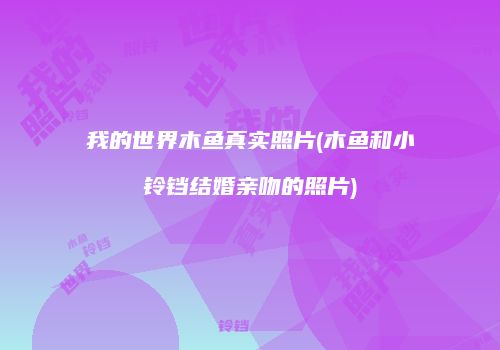 我的世界木鱼真实照片(木鱼和小铃铛结婚亲吻的照片)