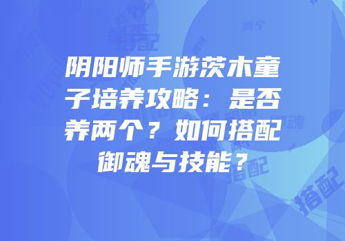 阴阳师手游茨木童子培养攻略：是否养两个？如何搭配御魂与技能？