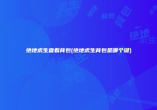 绝地求生查看背包(绝地求生背包是哪个键)
