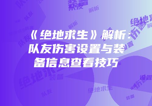 《绝地求生》解析：队友伤害设置与装备信息查看技巧