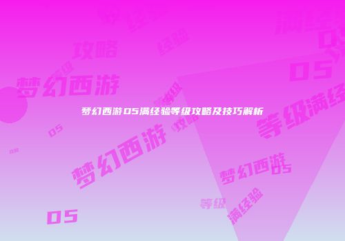 梦幻西游D5满经验等级攻略及技巧解析