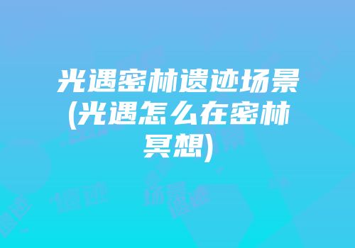 光遇密林遗迹场景(光遇怎么在密林冥想)