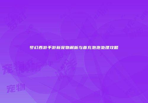 梦幻西游手游新宠物解析与首充泡泡处理攻略