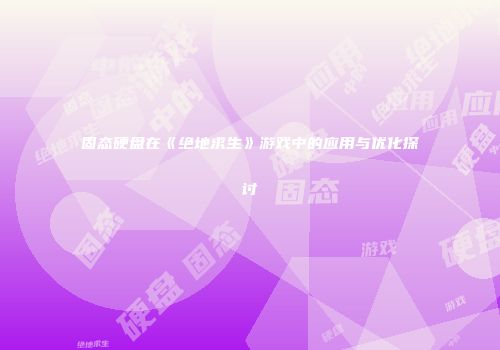 固态硬盘在《绝地求生》游戏中的应用与优化探讨