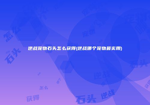 逆战宠物石头怎么获得(逆战哪个宠物最实用)