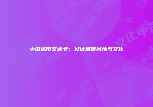中国城市交通卡：见证城市风情与文化