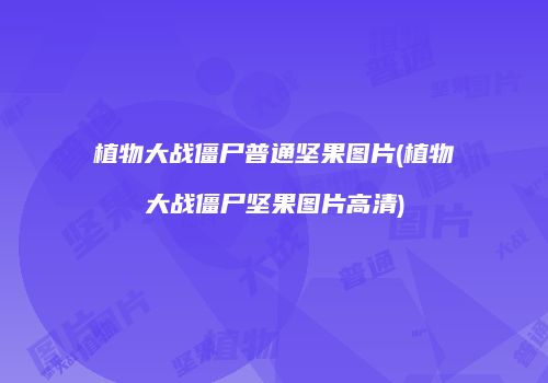 植物大战僵尸普通坚果图片(植物大战僵尸坚果图片高清)