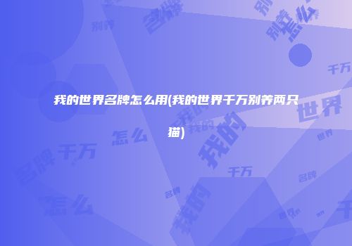 我的世界名牌怎么用(我的世界千万别养两只猫)