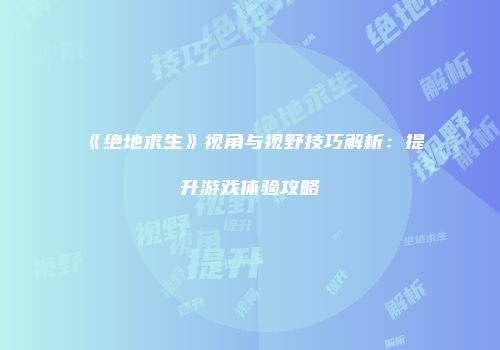 《绝地求生》视角与视野技巧解析：提升游戏体验攻略