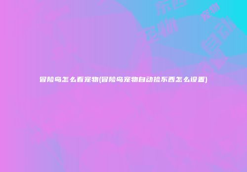 冒险岛怎么看宠物(冒险岛宠物自动捡东西怎么设置)