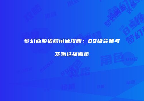 梦幻西游猪精角色攻略：89级装备与宠物选择解析