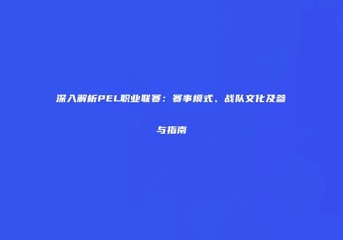 深入解析PEL职业联赛：赛事模式、战队文化及参与指南
