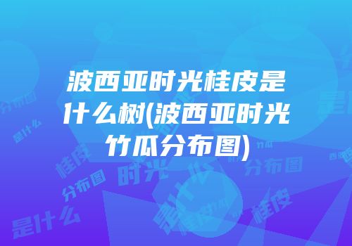 波西亚时光桂皮是什么树(波西亚时光竹瓜分布图)