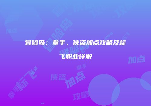 冒险岛：拳手、侠盗加点攻略及标飞职业详解