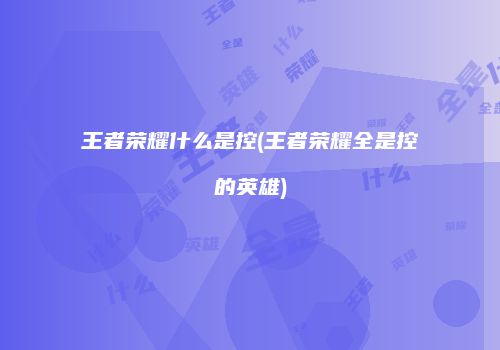 王者荣耀什么是控(王者荣耀全是控的英雄)