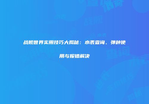 战舰世界实用技巧大揭秘：水表查询、弹种使用与报错解决