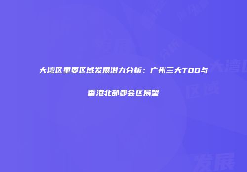 大湾区重要区域发展潜力分析：广州三大TOD与香港北部都会区展望