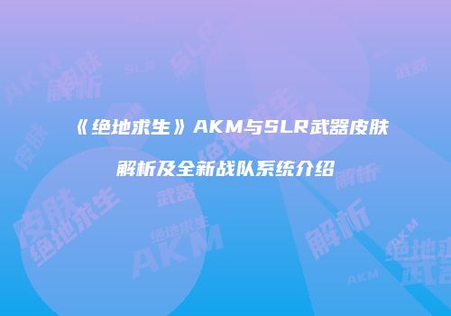 《绝地求生》AKM与SLR武器皮肤解析及全新战队系统介绍