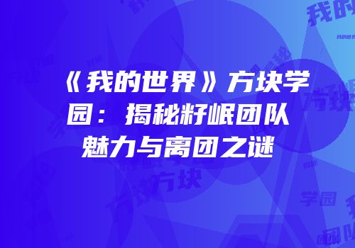 《我的世界》方块学园：揭秘籽岷团队魅力与离团之谜