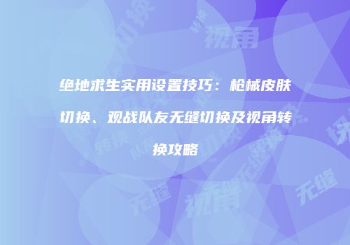 绝地求生实用设置技巧：枪械皮肤切换、观战队友无缝切换及视角转换攻略