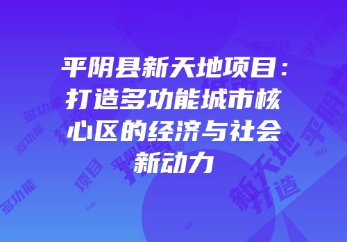 平阴县新天地项目：打造多功能城市核心区的经济与社会新动力
