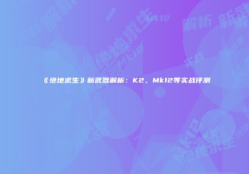《绝地求生》新武器解析：K2、Mk12等实战评测