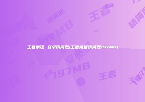 王者荣耀 安卓精简版(王者荣耀精简版197MB)