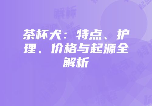 茶杯犬：特点、护理、价格与起源全解析