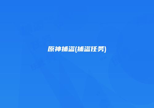 原神捕盗(捕盗任务)