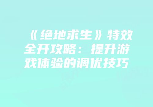 《绝地求生》特效全开攻略：提升游戏体验的调优技巧