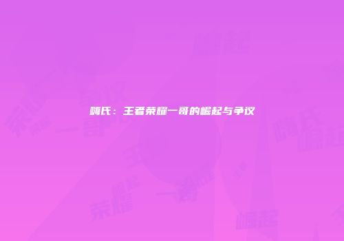 嗨氏：王者荣耀一哥的崛起与争议