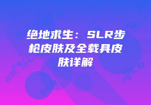 绝地求生：SLR步枪皮肤及全载具皮肤详解