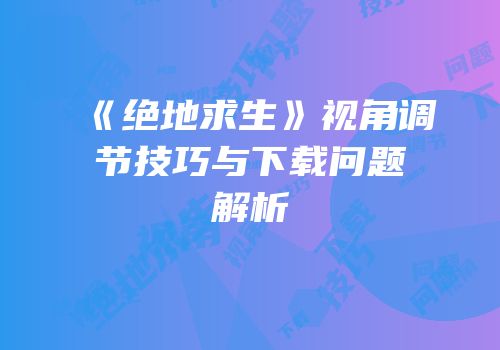 《绝地求生》视角调节技巧与下载问题解析