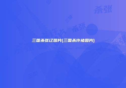 三国杀张辽图片(三国杀许褚图片)
